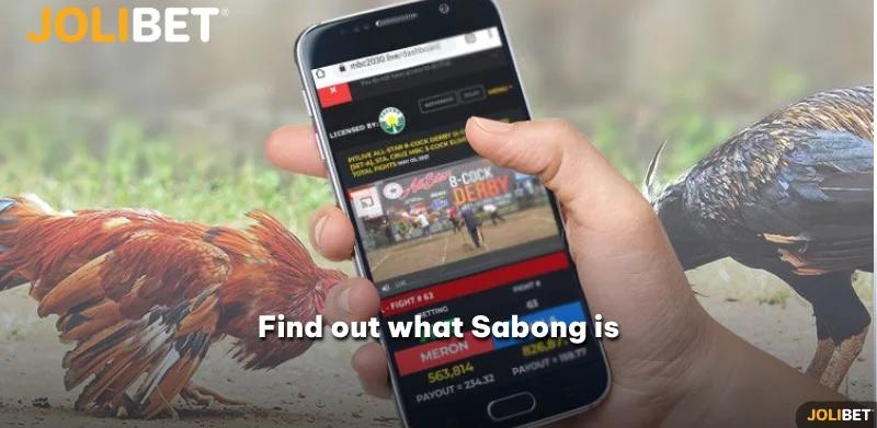 Find out what Sabong is