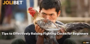 Raising Fighting Cocks