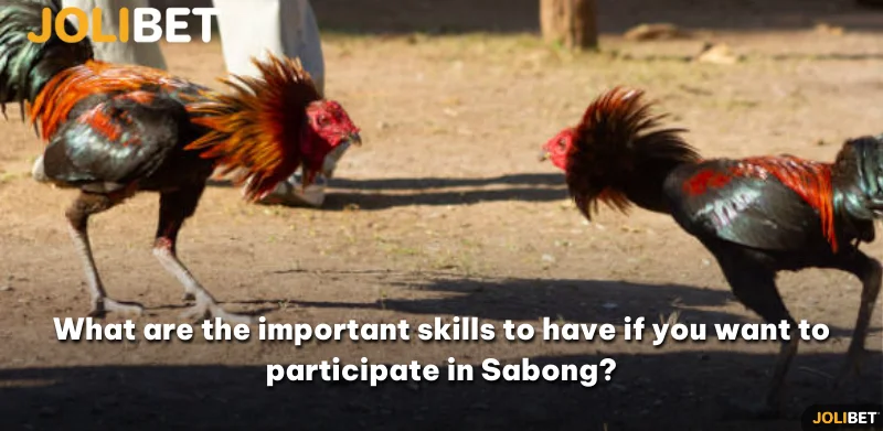 What are the important skills to have if you want to participate in Sabong?